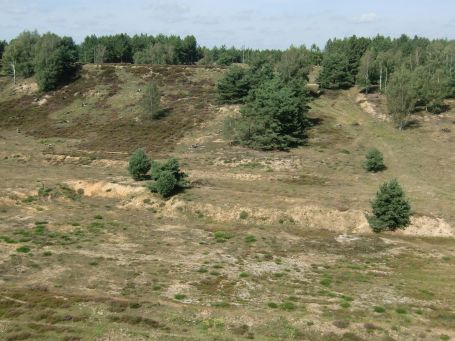 Brüggen : Brachter Wald, aus dieser ehemaligen Sandgrube wurde Sand gefördert und in den Splitterschutzwällen verbaut.